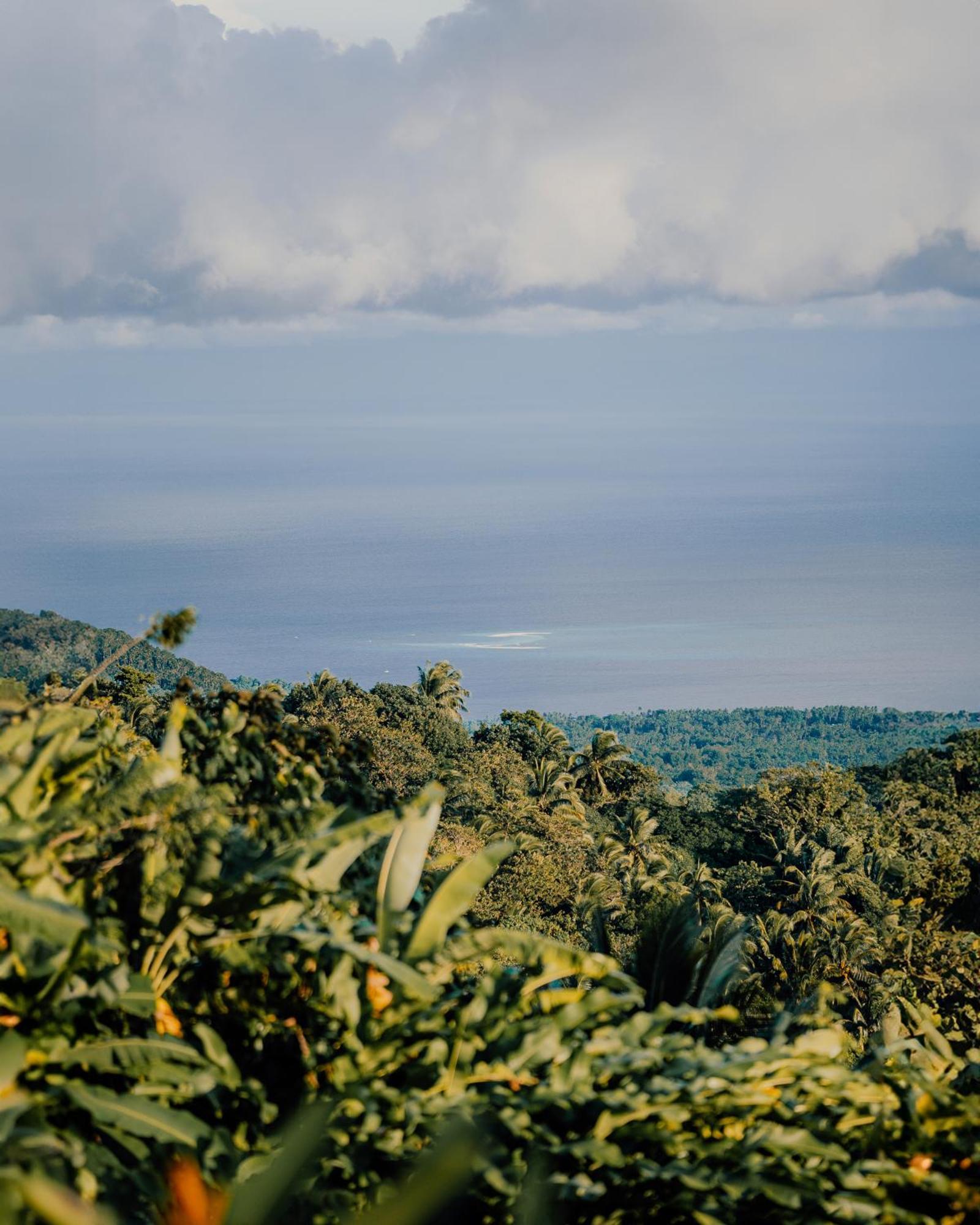 Bintana Sa Paraiso Binunsaran Mambajao Eksteriør bilde
